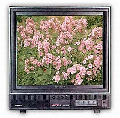Цветной телевизор "Горизонт 51ТЦ-460Д".